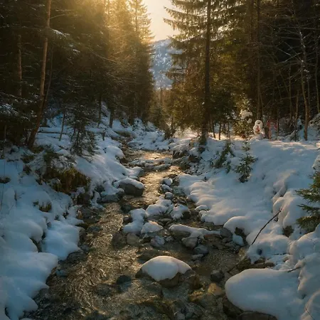 Apartment Familial & Bains Thermaux Ovronnaz