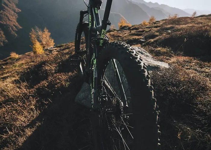 Familial & Bains Thermaux 公寓 奥瓦伦纳茨